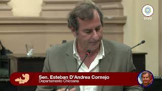 Senador Esteban D´ Andrea  Fueros para Legisladores [upl. by Reiniar]