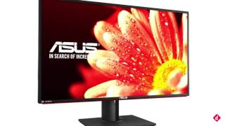 Top 3 Professional Monitors To Buy March 2017  Digitin [upl. by Schild]