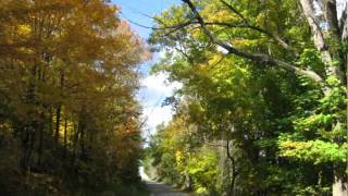 Fall Drives in Northumberland County Ontario Canada [upl. by Ahtekahs208]