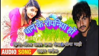 Dhan ke ropaniya Bhojpuri song Neeraj yadav raja bhaiya seema mahi [upl. by Nepean]