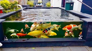 MOST BEAUTIFUL PRIVATE BACKYARD KOI POND IN THE WORLD [upl. by Aketahs680]