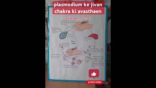 Plasmodium ke Jivan Chakra ki Avasthaen  Malaria  Mosquito Infection [upl. by Eelesor]