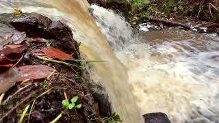 Birkey Burn Waterfall 181123 waterfall northumberland hexham [upl. by Eniarrol]