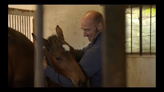 Apprentissage du licol au poulain par Franck Petetin [upl. by Berfield]