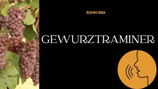 Gewurztraminer Pronunciation How to Pronounce gewurztraminer pronunciation [upl. by Dao612]