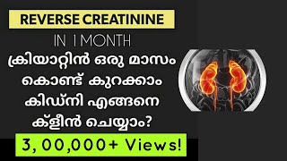 ഏറ്റവും എളുപ്പത്തിൽ കിഡ്‌നി വൃത്തിയാകാം kidney cleansing  latest malayalam health tips creatinine [upl. by Nevin]