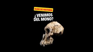 🔴 El PROCESO de HOMINIZACIÓN 🐒👫 1º de ESO SHORTS [upl. by Vale]