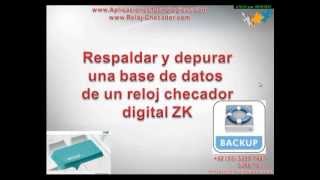 COMO RESPALDAR DEPURAR BASE DE DATOS ZK attendance management software [upl. by Duffy398]