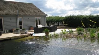 How to build a Natural Pool  DIY Organic Pool build [upl. by Yug]