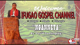 NGANNEYA  Who Am I  By David Dumangeng [upl. by Uzzial668]