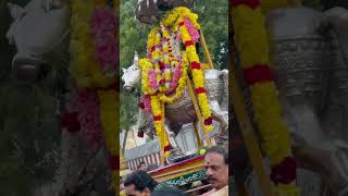 Pradosham dharshan  Agatheeswarar temple🛕  Villivakkam 🙏🏻 [upl. by Nytsrik]