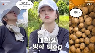 대학생은 방학에 뭐 할까 감자 캡니다 대학생 방학 브이로그  종강 vlog  시골 브이로그  건축학과 [upl. by Juli485]