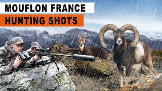 Chasse au Mouflon  Chamois  France 2024 [upl. by Sillyrama903]