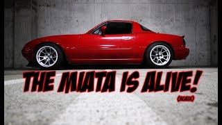 The Miata Is Alive Once Again [upl. by Remat]