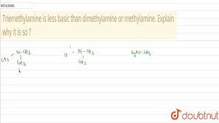 Triemethylamine is less basic than dimethylamine or methylamine Explain why it is so [upl. by Leachim785]