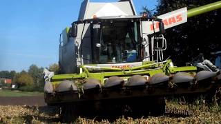 Mais dreschen Claas Lexion 750 Terra Trac [upl. by Ytissac626]