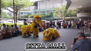 LION DANCE CITTA MALL [upl. by Ahsitel218]