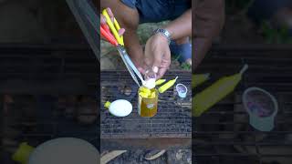 Bushcraft Skills This Guy Made Candle SIMPLE But USEFUL in Forest survival bushcraft camping [upl. by Jac]