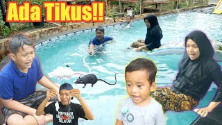 HAH ADA TIKUS DI KOLAM RENANG  eybel channel [upl. by Feeney]