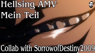 Hellsing Ultimate AMV  Mein Teil KingDadaman Vs SorrowofDestiny2009 [upl. by Yesnikcm]