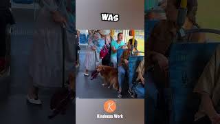 Dog retrieves mans hat on bus shorts [upl. by Truda]