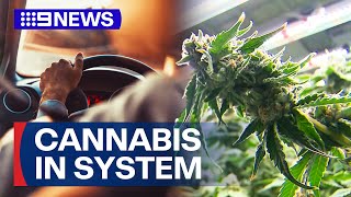 Drivers with cannabis in system to no longer lose licence in Victoria  9 News Australia [upl. by Salaidh343]