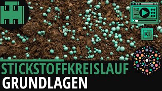 Stickstoffkreislauf Grundlagen│Biologie Lernvideo Learning Level Up KI [upl. by Nalad]