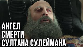 Кто пришел к Сулейману перед его смертью [upl. by Neelyahs]