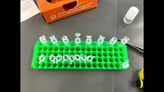 Sanger sequencing workflow [upl. by Ecire]