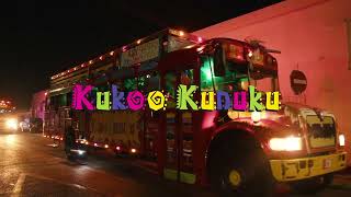 Your Unforgettable Party Journey with Kukoo Kunuku Aruba  The Islands Iconic Party Bus [upl. by Enyedy]