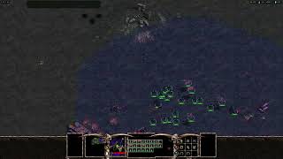 Warlords Battlecry 3  1v1  Baśniowa Istota Cinek vs Mroczny Elf Edvin [upl. by Elden]