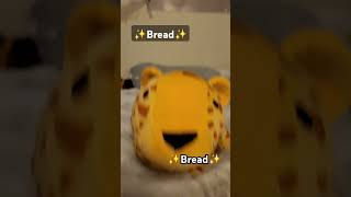 bread just bread all bread dance funny food 🍞 [upl. by Agnizn]