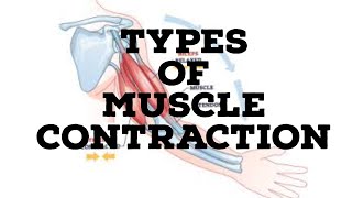 Types of muscle contraction [upl. by Berti]