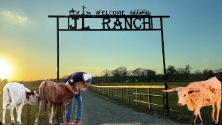 Ranch Life [upl. by Stalder]