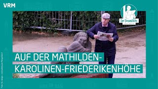 Der Breeweldibbe auf der MathildenKarolinenFriederikenhöhe [upl. by Nirtak]