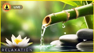 🔴 Relaxing Zen Music 247 Stress Relief Music Sleep Music Meditation Music Study Calming Music [upl. by Pippa]