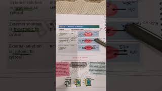 hypertonic and hypotonic biologypoli11biologygrade11 [upl. by Aennil]