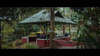 Glenmore Resorts Munnar  Idukki [upl. by Rye982]