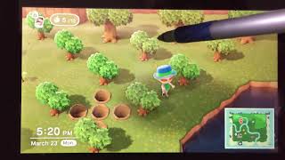 Animal Crossing New Horizons  Planning an Orchard Grove  GET MORE BELLS [upl. by Corly]