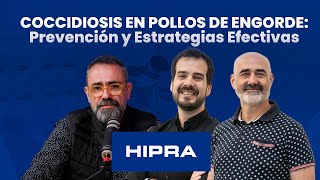 Coccidiosis en Pollos de Engorde Prevención y Estrategias Efectivas [upl. by Dich]