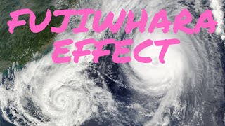 FUJIWHARA EFFECT  WHEN TWO HURRICANES MERGE [upl. by Ruzich]