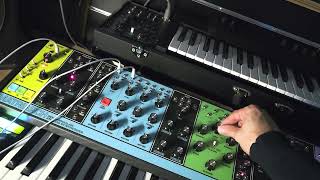 MOOG MATRIARCH TYPE 960 EURORACK ANALOG SEQUENCER [upl. by Retxed218]