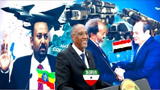 Dood Xasaasiya Dagaalka Somalia iyo Ethiopia Qorshaha Dawlada Masar  Digtoonida Somaliland [upl. by Leak]