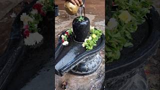 Shivling 🙏Abhishekham shortstrendingyoutubeshorts [upl. by De Witt]