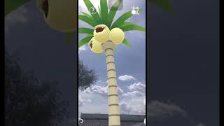 Yo puedo CAMINAR CAMINAR pokémon charizard exeggutor viralvideo [upl. by Taka551]