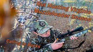 Rut Hunting Virginia Muzzleloader Season DEER EVERYWHERE Grunting In Bucks [upl. by Otecina]