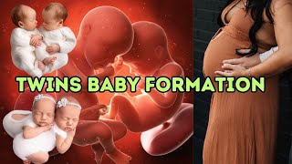 Twins Baby Formation  Twin Baby Pregnancy Journey  Twin Pregnancy Transformation [upl. by Atiniuq826]