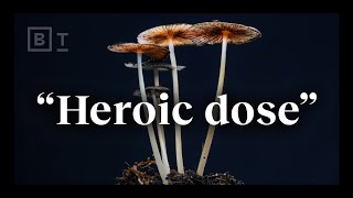 The “heroic dose” of psychedelics according to Johns Hopkins  Dr Matthew Johnson [upl. by Rama]