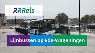 RRReis  Hermes  Lijnbussen op station EdeWageningen [upl. by Gelhar296]