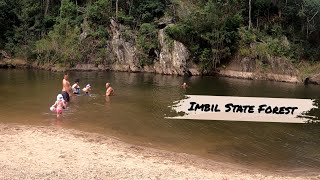 Imbil State Forest  Charlie Moreland Campground [upl. by Fraser142]